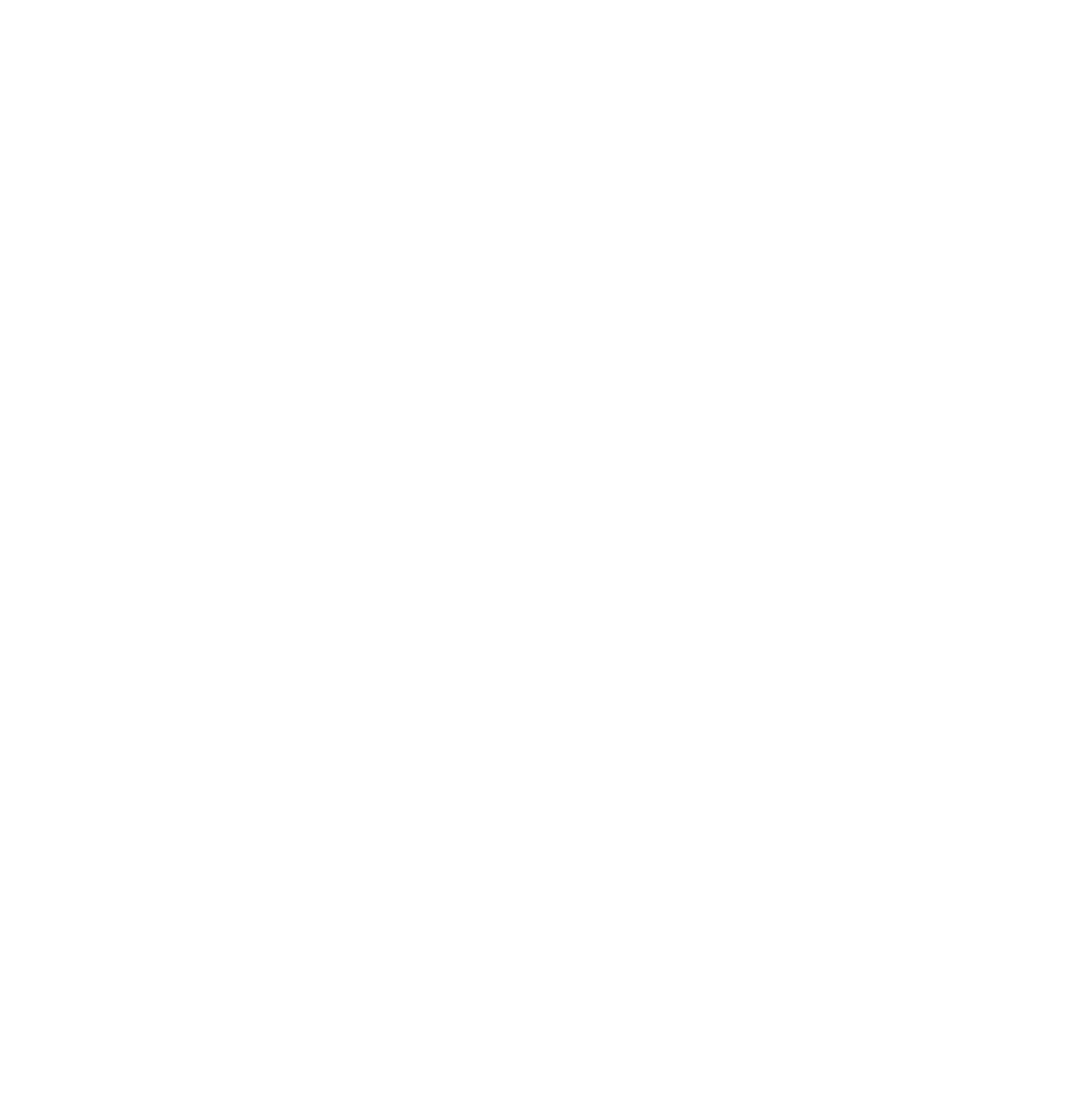 Globe icon